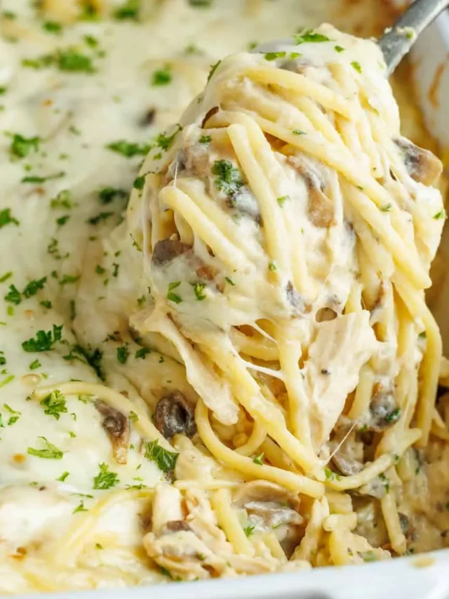 Chicken Tetrazzini Recipe