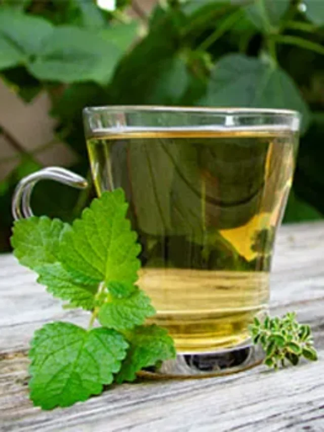 Lemon Balm Recipe