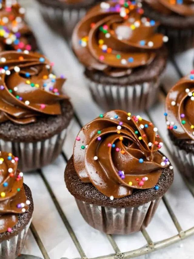 Sweet Mini Chocolate Cupcakes